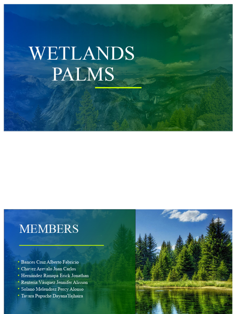 Wetlands of Palms | PDF | Grassland | Savanna