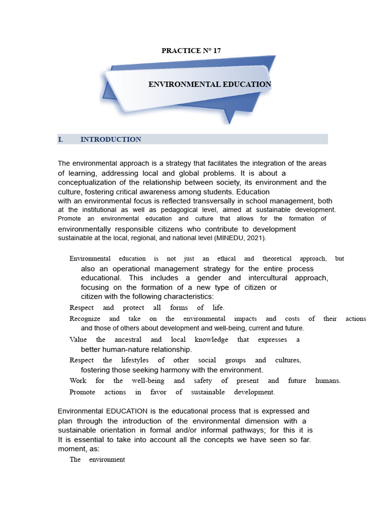 Environmental Education Strategies in Puno | PDF | Sustainability ...