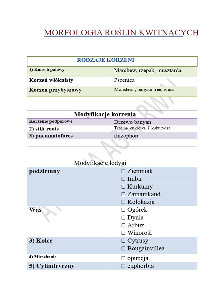 Przykłady Biografii | PDF