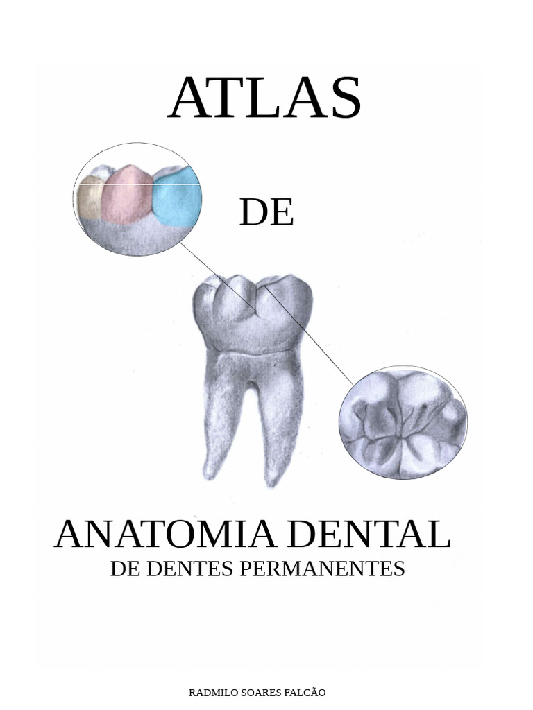 Atlas de Anatomía Dental Permanente | PDF | Anatomia dental | Diente