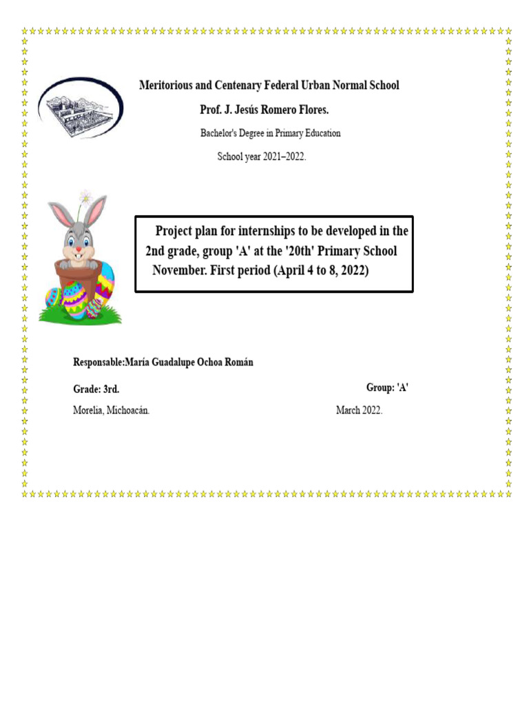 2nd Grade Internship Project Plan | PDF