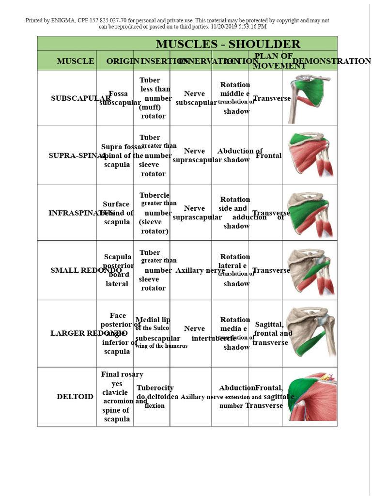 MUSCLE TABLE (Origin, Insertion, Innervation, Action... ) - Passei ...