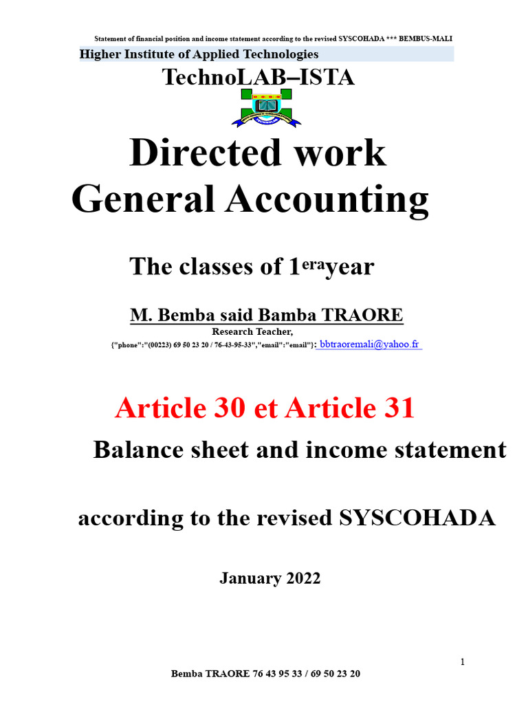 Balance Sheet and Income Statement | PDF | Balance Sheet | Debits And ...