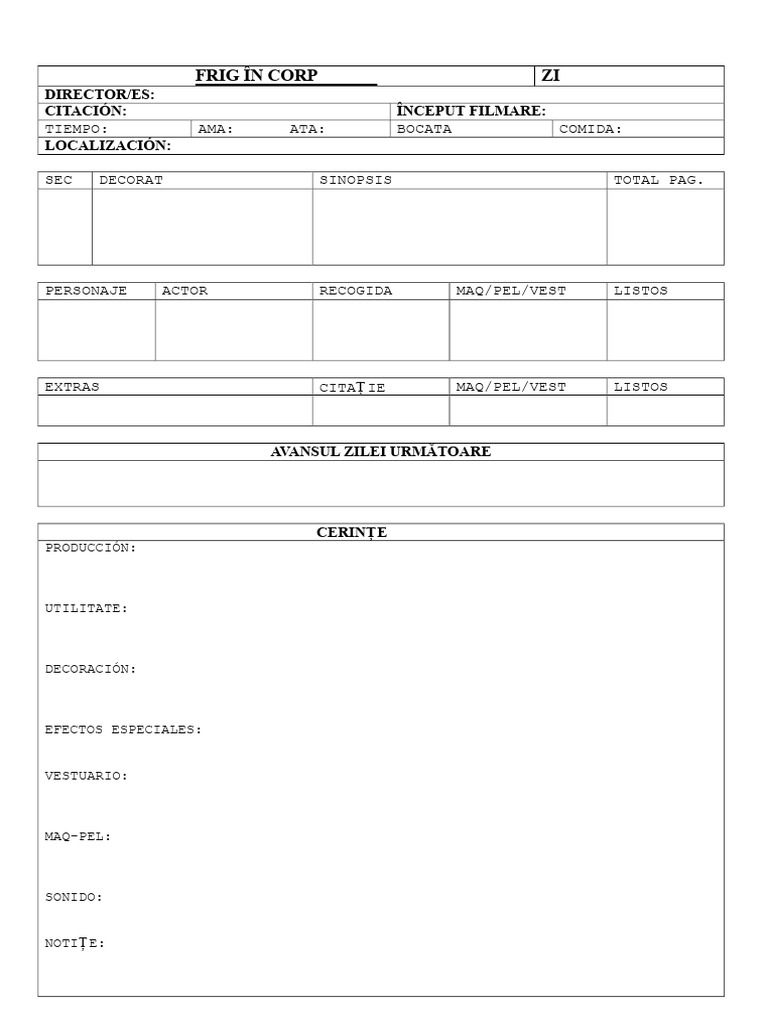 Șablon Plan Filmare Zilnic | PDF