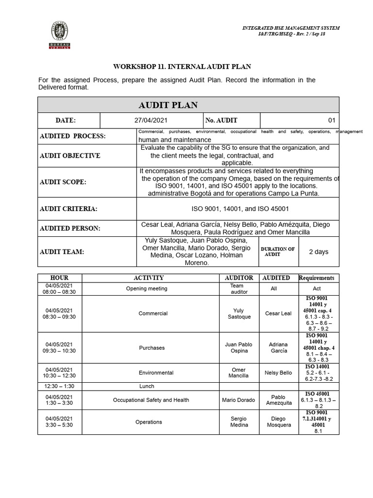 Workshop 11 Audit Plan | PDF | Audit | Regulation