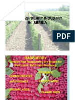 The Raspberry Industry in Serbia