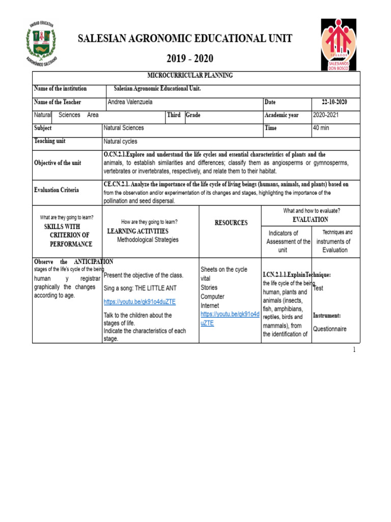 Basic Planning Format and High School-2 | PDF