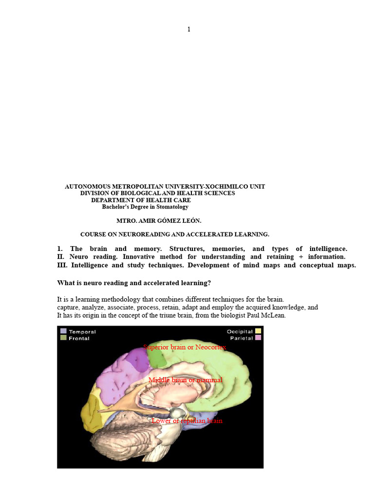 Neuroreading and Accelerated Learning Course (08-07) | PDF | Memory ...