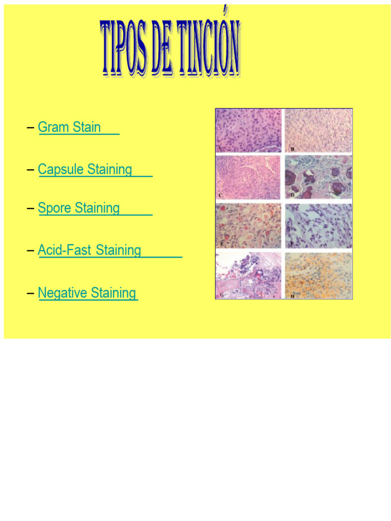 Staining | PDF | Staining | Microscope