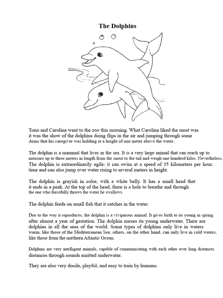 The Dolphins | PDF | Dolphin | Zoology