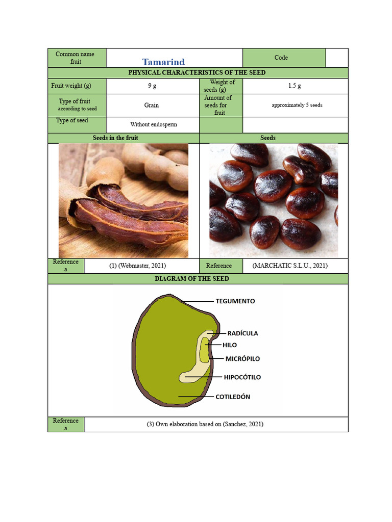 Tamarind Seed Card | PDF | Seed | Dietary Fiber