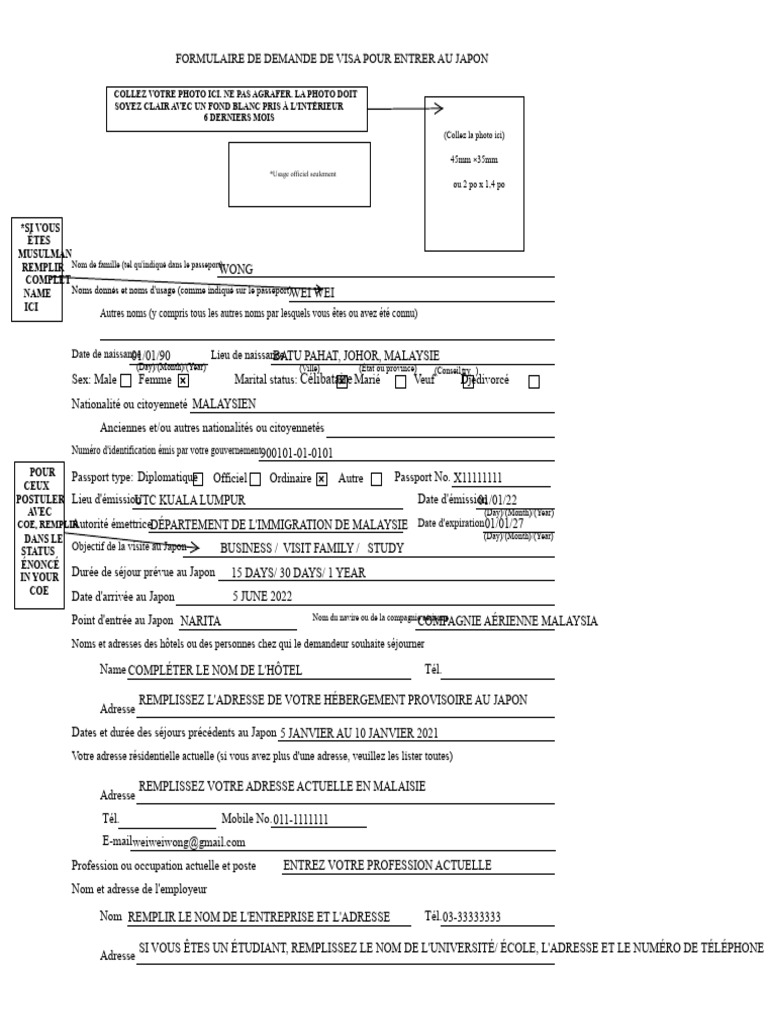 Formulaire de Demande de Visa (Exemple) | PDF | Visa (Document)