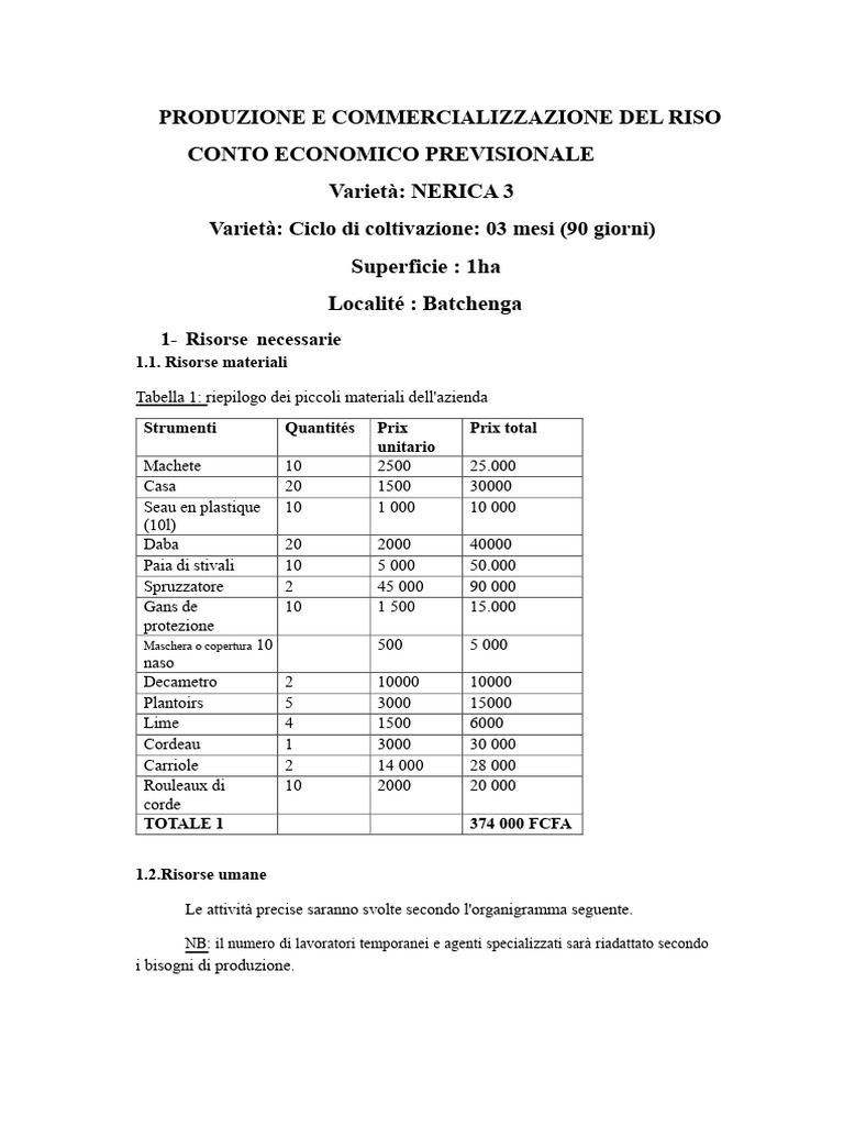 Conto Economico Del Riso 2 | PDF