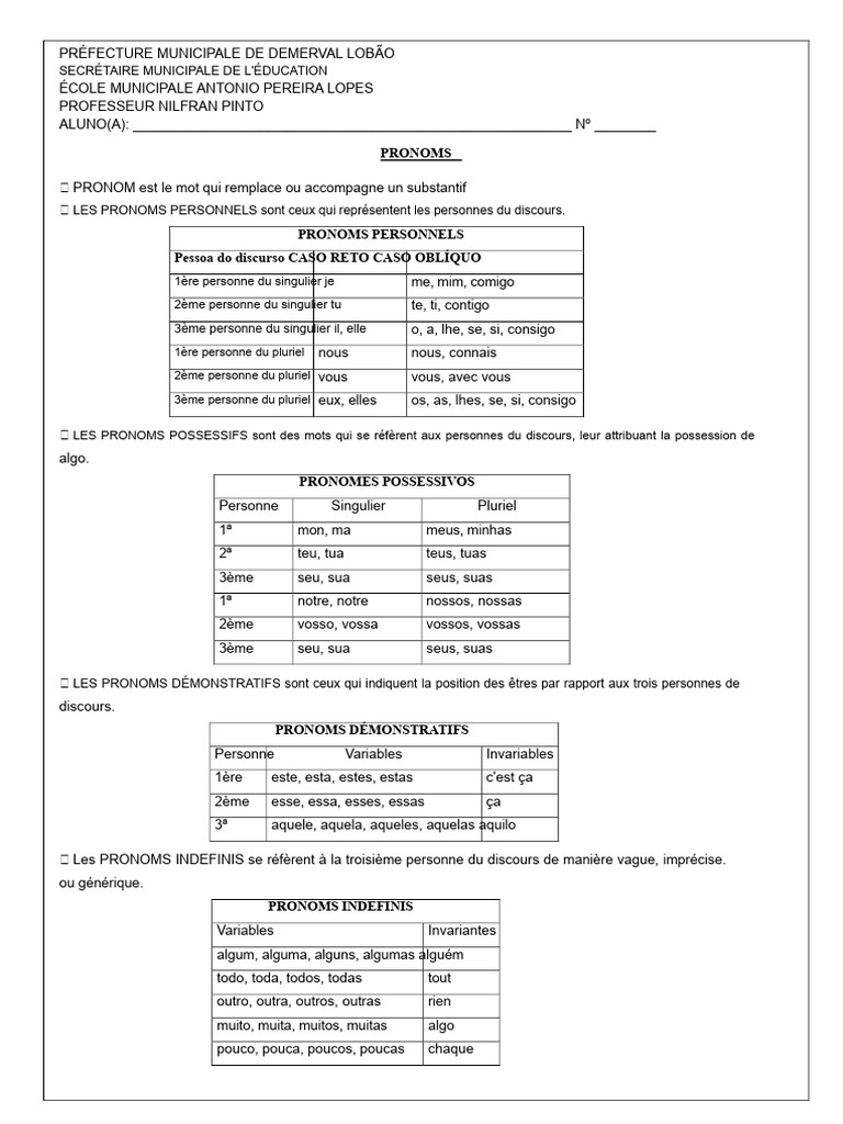Guide des pronoms en français | PDF | Pronom | Nombre grammatical