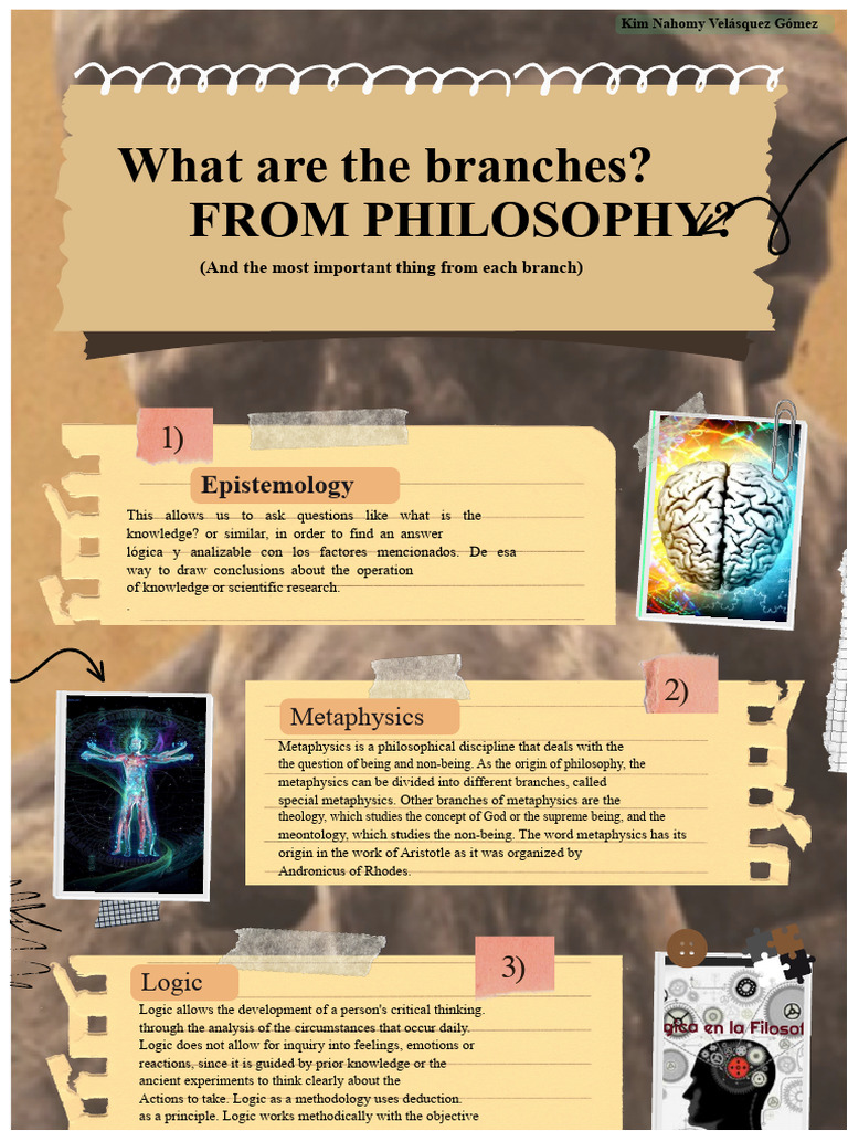 Overview of Philosophy Branches | PDF