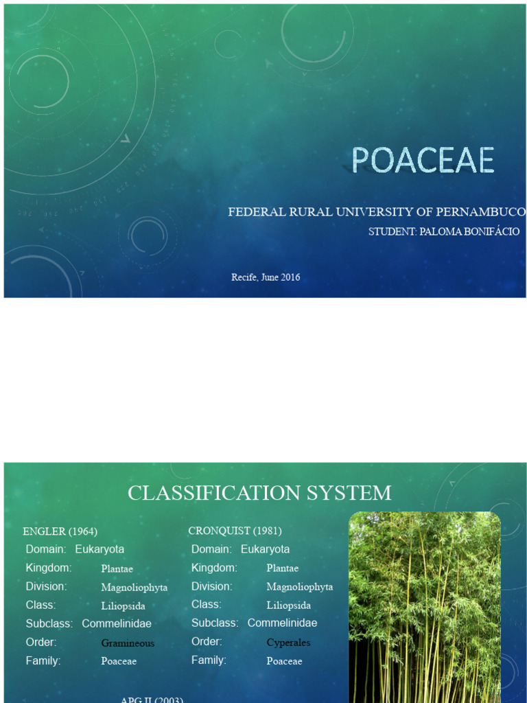 Poaceae | PDF | Plants | Botany