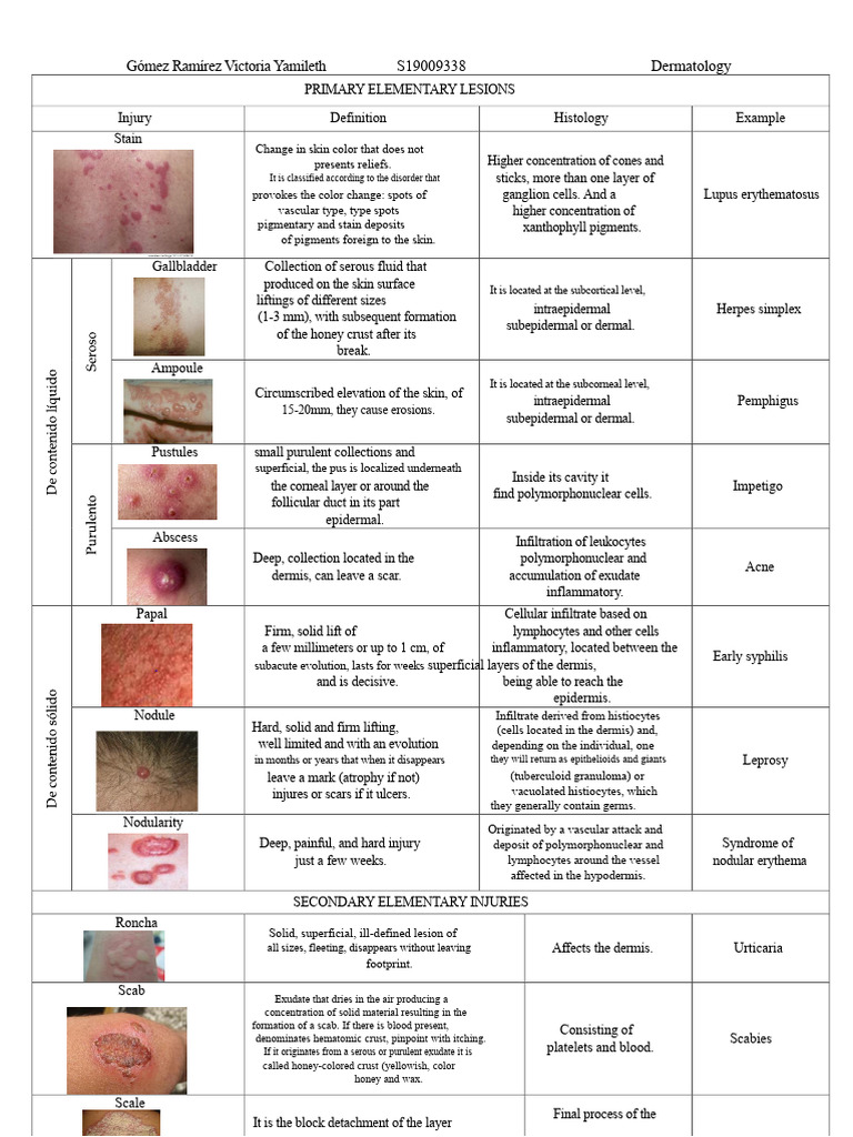 Primary and Secondary Skin Lesions | PDF | Skin | Anatomy