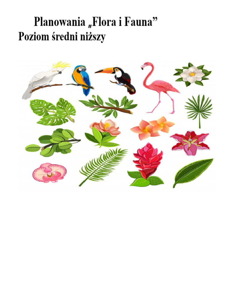 planowanie-rodowiska-mniejszego-flora-i-fauna-b-n-o-pdf