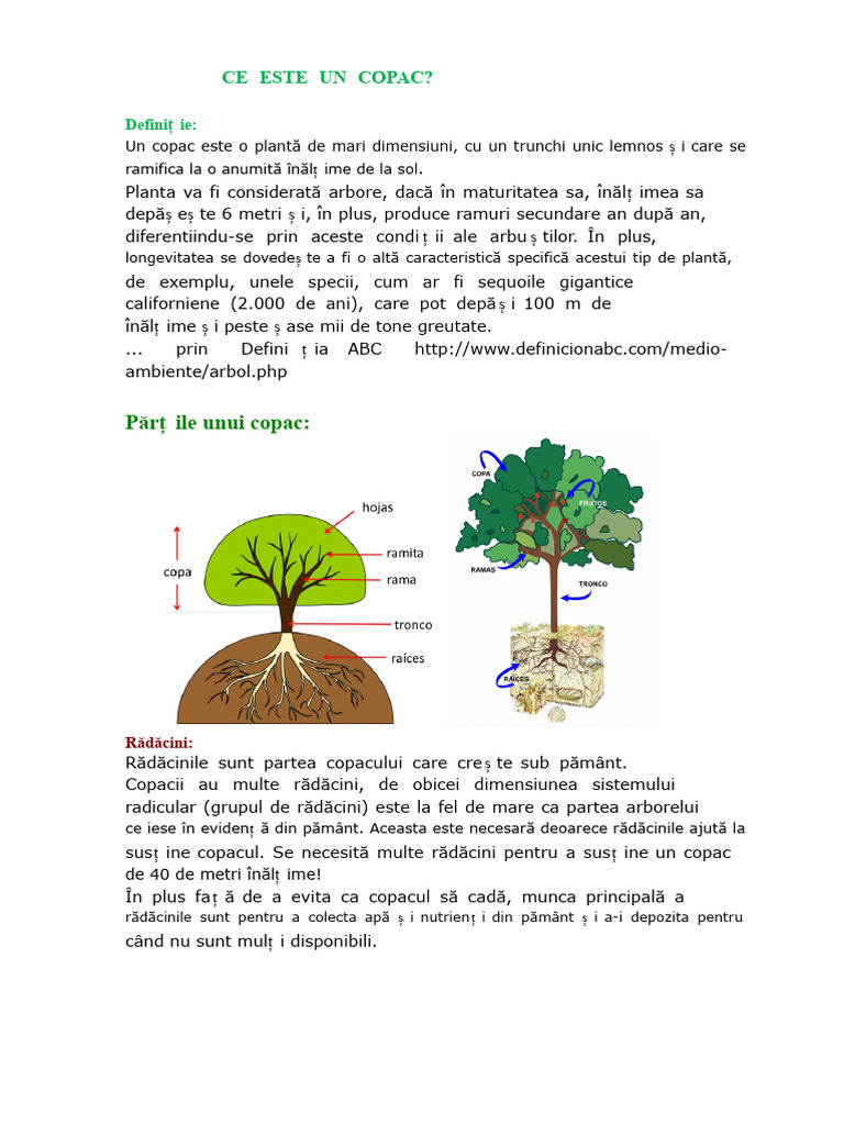CE ESTE UN COPAC-web | PDF