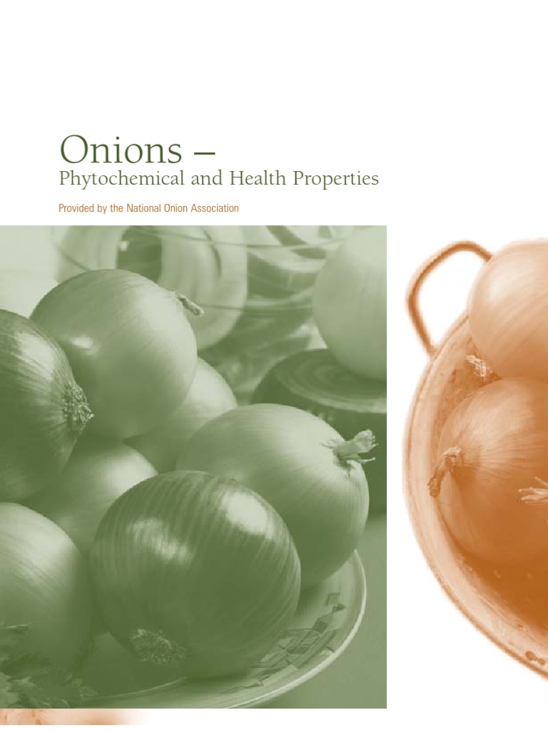 Onion Phytochemical and Health Properties Flavonoid Antioxidant