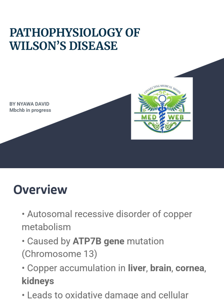 Wilson Disease Pathophysiology Overview | PDF | Basal Ganglia | Medical ...