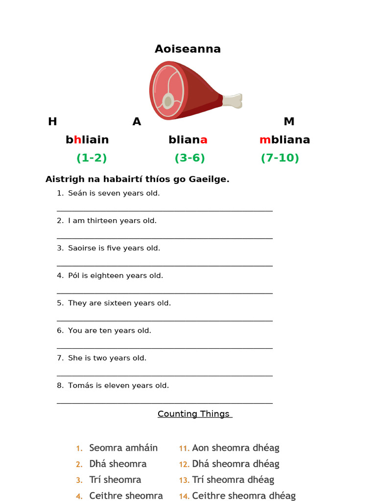 Age and Counting Exercises in Irish | PDF