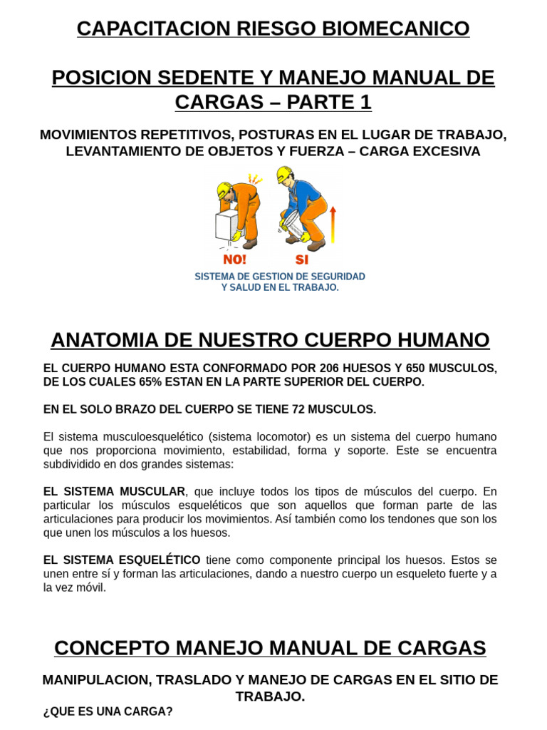 Capacitación en Manejo de Cargas Seguras | PDF | Dolor lumbar ...