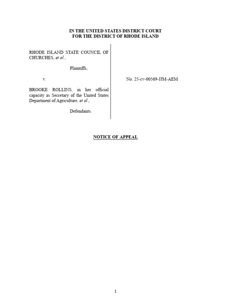 Notice of Appeal | PDF