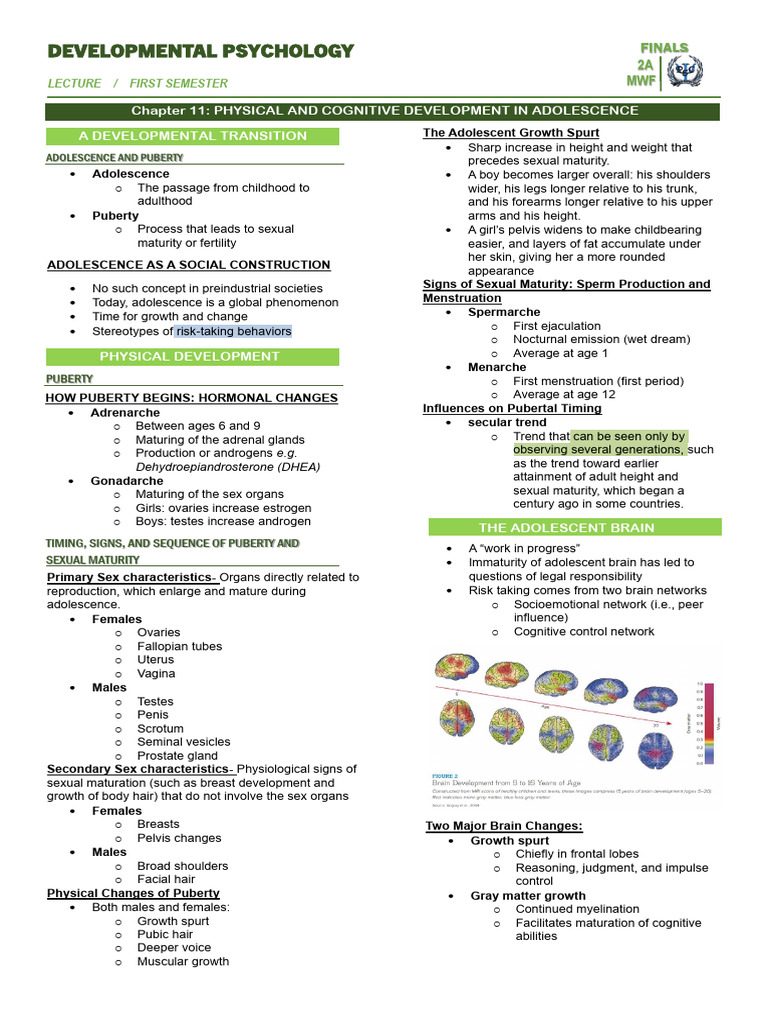 Adolescent Physical and Cognitive Development | PDF | Puberty | Adolescence
