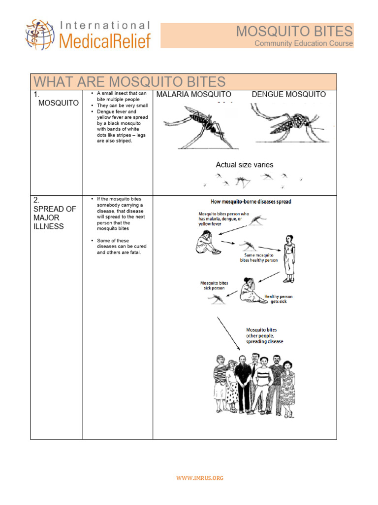 IMR CE Mosquito Bites Class | PDF | Malaria | Mosquito Net