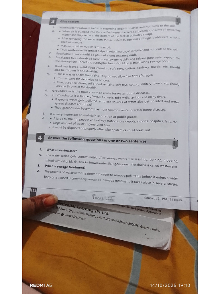 Chapter 13 Std7 | PDF
