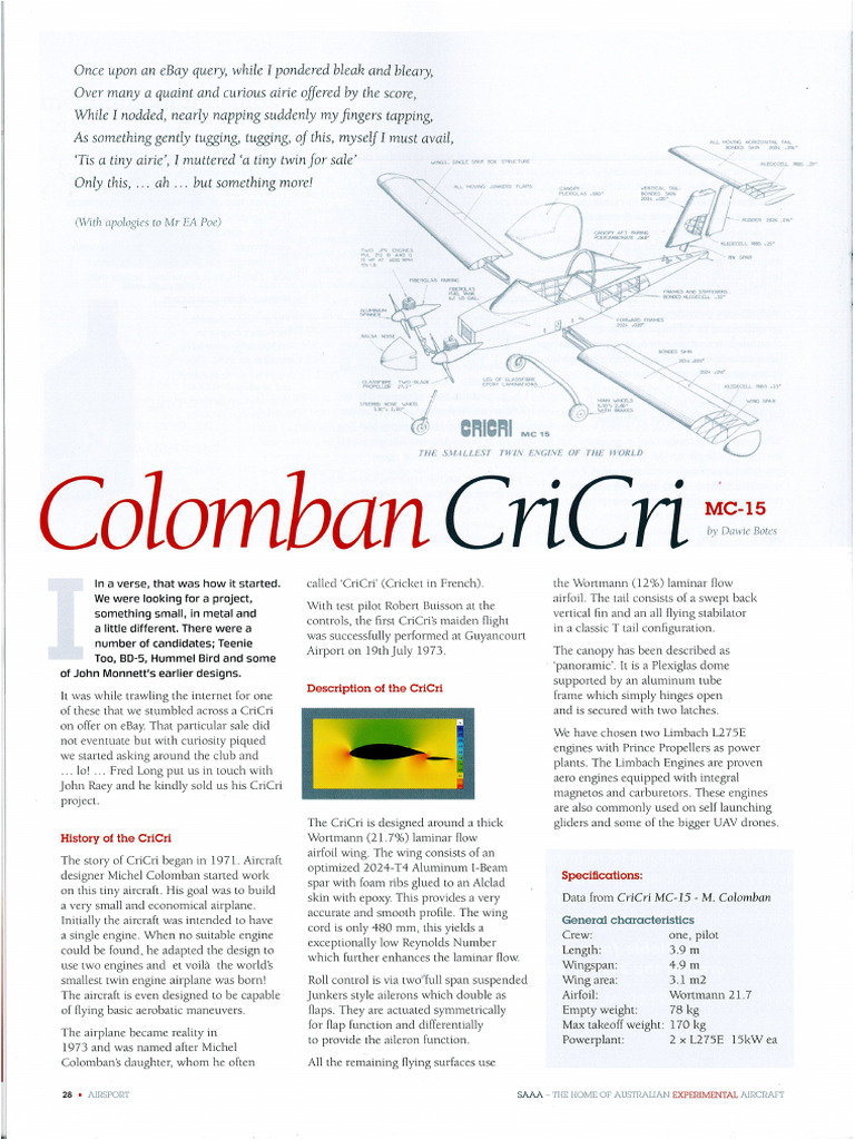 SAAA - CriCri Article | PDF