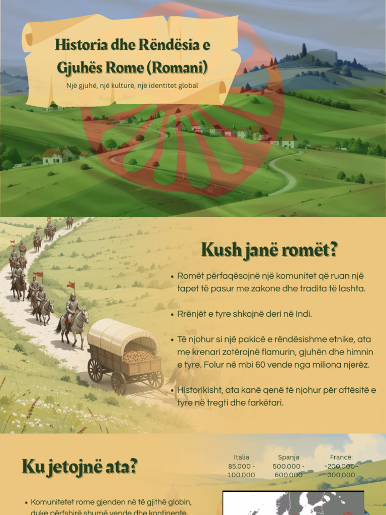 Komuniteti Rom | PDF