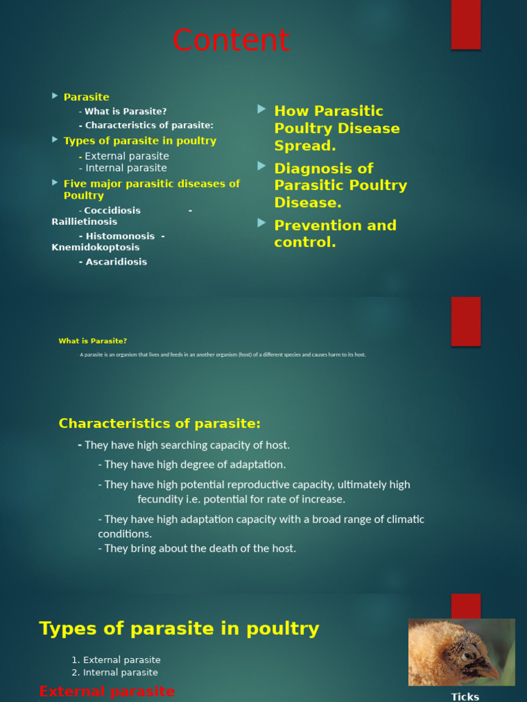 Poultry Parasites: Types, Diseases, and Control | PDF | Parasitism ...