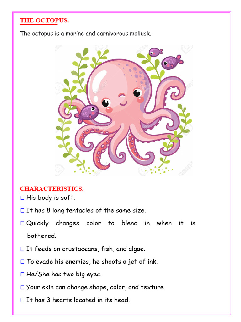 Octopus: Characteristics and Behavior | PDF