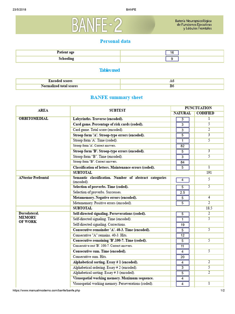 BANFE Patient Assessment Summary | PDF | Executive Functions ...