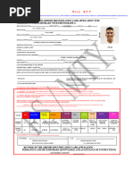 YVR RAIC Application Form Guide | PDF | Government