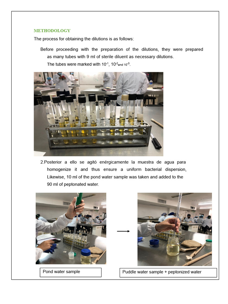Pond Water Bacterial Analysis Method | PDF | Microscopy | Biology