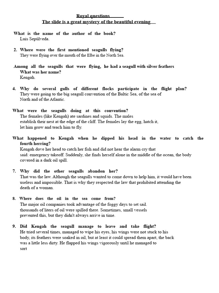 Seagull Kengah's Journey and Rescue | PDF | Gull | Cats