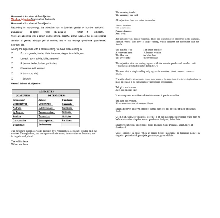 Understanding Spanish Adjective Variations | PDF | Grammatical Gender ...