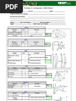 RULA Assessment Worksheet Guide | PDF | Anatomical Terms Of Motion ...