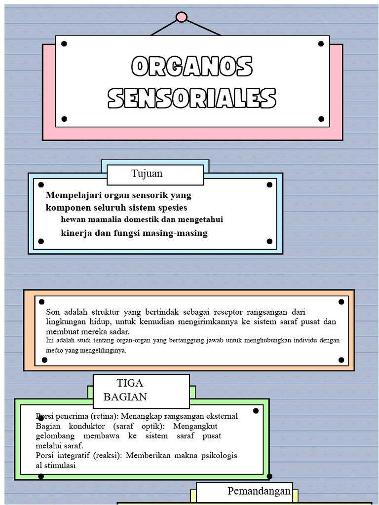 Organ Sensorik pada Mamalia Domestik | PDF