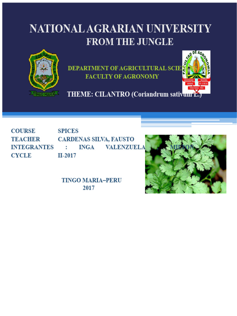 Cilantro (Coriandrum sativum) Guide | PDF | Coriander | Soil