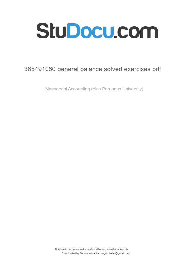 Resolved Balance Sheet Exercises PDF | PDF | Expense | Balance Sheet