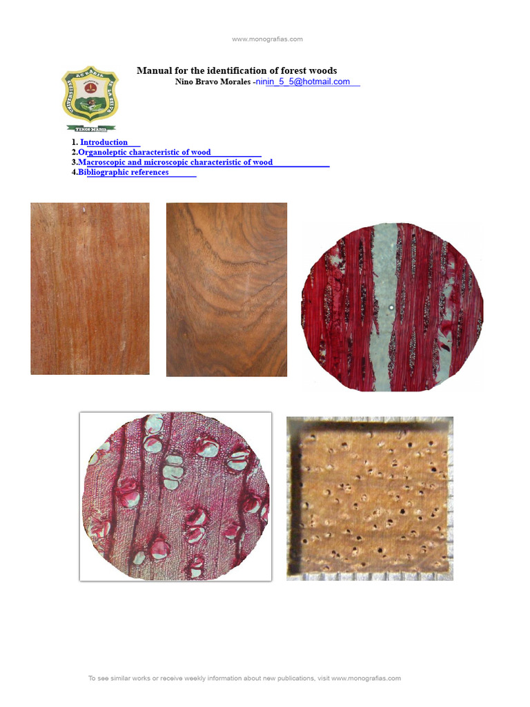 Wood Identification Manual Guide | PDF | Wood | Plant Stem