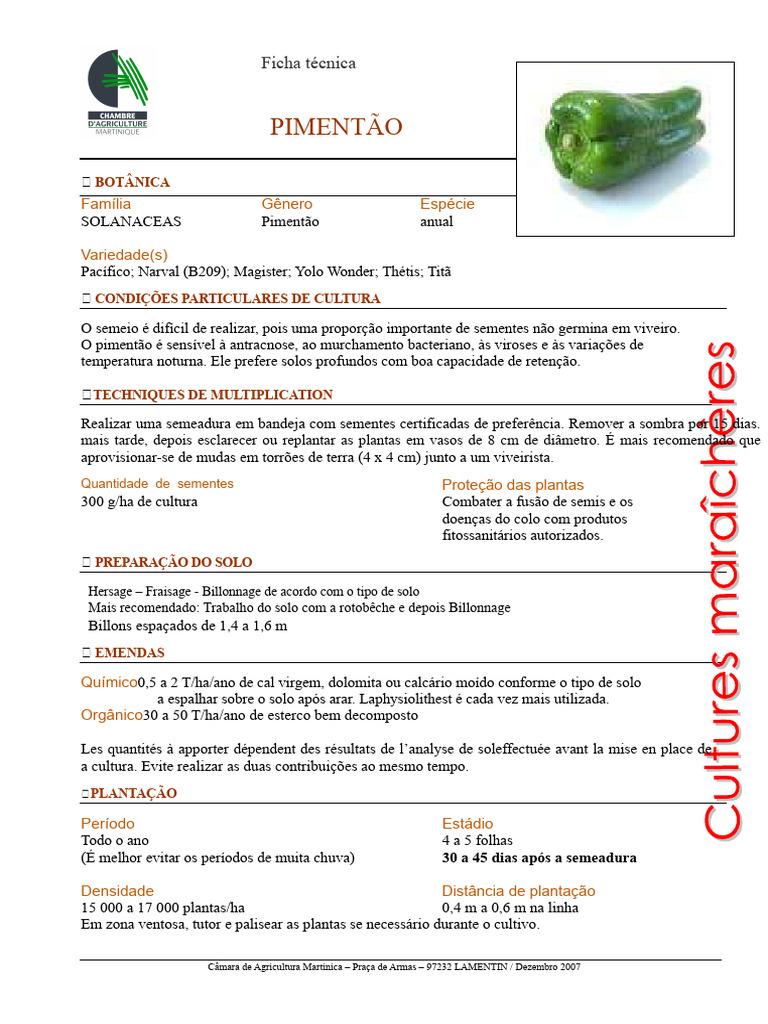 11136-Câmara de Agricultura da Martinica 2007 Ficha Técnica - Pimentão ...