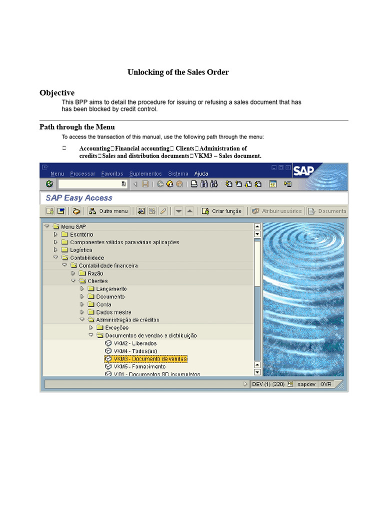 VKM3 - Unlocking Sales Order | PDF