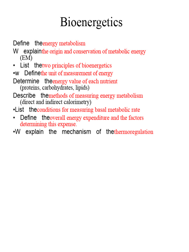 Understanding Energy Metabolism Basics | PDF | Bioenergetics | Metabolism