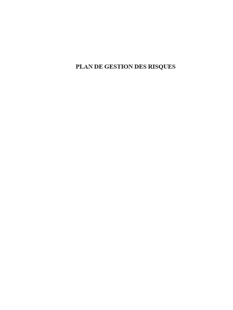 Plan de Gestion des Risques et Évaluations | PDF | Risque | Gestion des ...