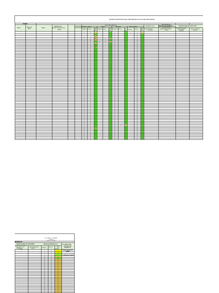 FORMULAR - 2.13 MIPER (Ghid ISP) V3 DS 44 | PDF